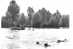 fete de l'eau bailleul 8